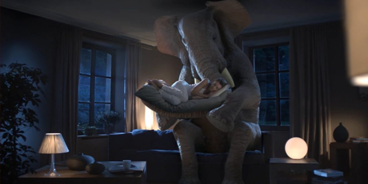 ELEPHANT Tisane